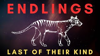 ENDLINGS Part 2  The Last One Before Extinction [upl. by Ydner869]