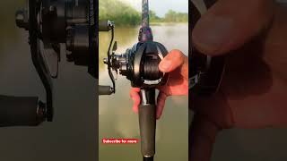 Daiwa Zillion TW HD 1000 2022 snakehead snakeheadhunting zillion daiwazilliontwhd2022 [upl. by Tiphani]