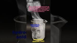 When concentrated ammonia and concentrated hydrochloric acid meet chemistry chemicalreactions [upl. by Leen]