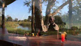 Botswana Safari Holidays [upl. by Julio]