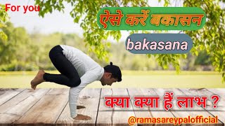 Bakasana बकासन howtodoyoga yogapose foryou Ramasareypal yogaforbeginners ramasareypalofficial [upl. by Emoreg]