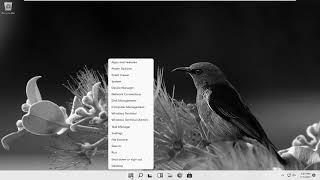 How To Turn Off Grayscale On Windows 11 Tutorial [upl. by Ynavoeg364]