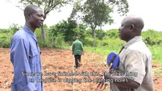 Establishment of Cashew Farm Training MovieACi [upl. by Damalus]