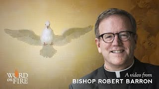 Bishop Barron on the Sacrament of Confirmation [upl. by Irena]