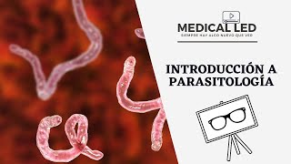 INTRODUCCIÓN A PARASITOLOGÍA Generalidades y clasificación [upl. by Virgel459]