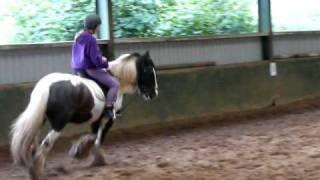 Cantering on my first lesson [upl. by Irahc439]