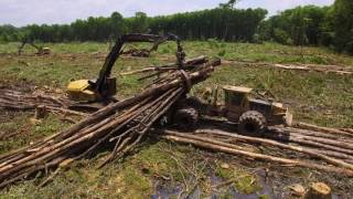 Tigercat clambunk skidder and logger  swamp logging [upl. by Zillah]