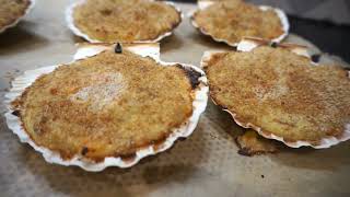 Coquilles de barbes de SaintJacques à la bretonne  Recette AntiGaspi [upl. by Llevart]