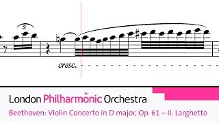 Beethoven Violin Concerto in D major Op 61 – II Larghetto [upl. by Chancellor224]