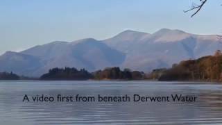 Vendace UKs rarest freshwater fish filmed at Derwent Water in 2017 [upl. by Maible]