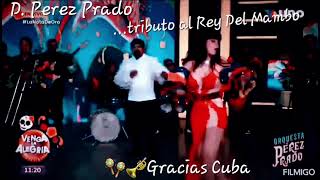 Orquesta Pérez Prado  Mambo 5 live 🔥Tributo Al Genio Musical Cubano🔥 [upl. by Denise834]