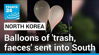 North Korea sends balloons of trash faeces into South • FRANCE 24 English [upl. by Griggs]