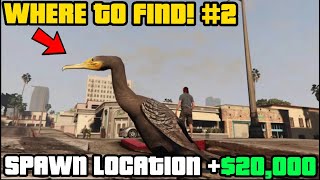 Where To Find Great Cormorant In GTA Online  Easy 100000 [upl. by Feigin]