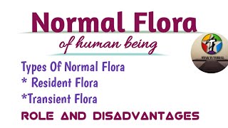 Normal Flora Of Human being ll Microbiology [upl. by Acireh123]