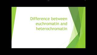 Difference between euchromatin and heterochromatin [upl. by Sllew]