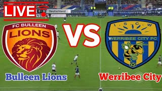 Bulleen Lions Vs Werribee City Football Live Streaming [upl. by Amitak]