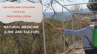 TÃœM AÄAÃ‡LARA GÃœLLECÄ° BULAMACI UYGULAMASI KALÄ°FORNÄ°YA BULAMACI [upl. by Ilenna570]