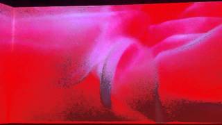 Pipilotti Rist Lobe of the Lung Part 1 [upl. by Ecnerrot]