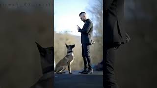 K9 dogs are so interesting 😱🐕k9 dog malinois k9protection dogsoftiktok [upl. by Imoyik]