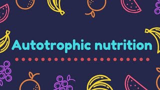 Autotrophic Nutrition  Grade 10 Biology [upl. by Keven]