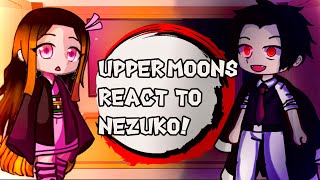 Uppermoons react to NEZUKO  KNY  gacha club [upl. by Anyaled]