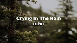 Crying in the Rain  aha  Lyrics  1990 [upl. by Aderf]