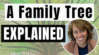 Whats a 2nd Cousin Family Tree Relationships Explained [upl. by Dloreg]