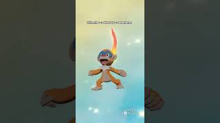 Así evoluciona CHIMCHAR en POKÉMON Leyendas Arceus [upl. by Demp187]