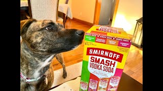 Smirnoff Smash Vodka Sodas Review [upl. by Kimbra]