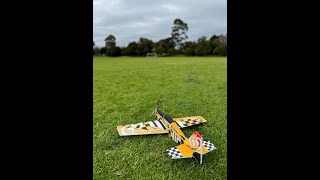 Another great day flying my Twisted Hobbys Mustang Racer  bird vs plane moments [upl. by Huckaby]