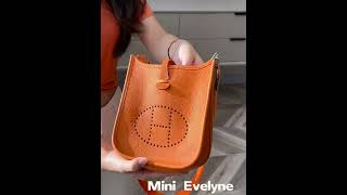 Hermes Mini Evelyne Togo leather bag [upl. by Burrell]