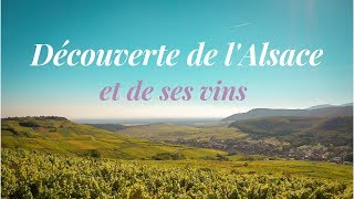 VLOG EN ALSACE  JE CUISINE ET JE PEINS AVEC DU VIN [upl. by Ikuy]