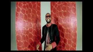 Fally Ipupa  Arsenal de Belles Mélodies Clip Officiel [upl. by Chapman]