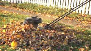 Prevent Weeds Naturally by Mulching your Leaves [upl. by Bush]