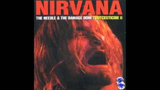 Nirvana  The End Live Lyrics [upl. by Melar510]