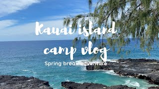 【Hawaii vlog】Kauai Island で過ごす春休み🫏⛰️🏝️ donkey feeding hiking Hanalei beach [upl. by Docilla]