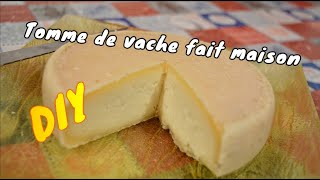 Faire du fromage maison au lait de vache  🐮 [upl. by Modesta145]