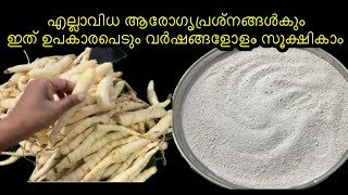 Home made കുവപൊടി।arrowroot recipe Ummu Hanna’s kitchen  arrowroot powder [upl. by Reyotal660]