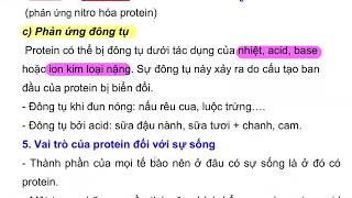 LÝ THUYẾT PROTEIN VÀ ENZYME HÓA 12 CHÂN TRỜI SÁNG TẠO [upl. by Sibeal44]