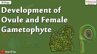 Biology Of Plants  Learn About Ovule and Gametophyte  iKen  iKen Edu  iKen App [upl. by Einned348]