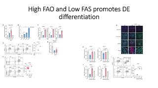 AcetylCOA plays an critical role in Fatty Acid oxidation FAO and HESCs differentiation Code 610 [upl. by Enirehtac]