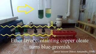 Copper acetate test [upl. by Lleze]