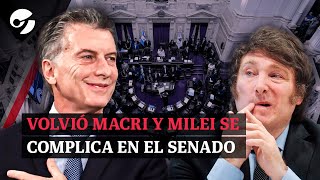 por qué A MILEI SE LE COMPLICA LA LEY BASES EN EL SENADO politicaargentina [upl. by Kaczer268]