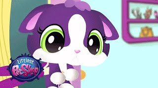 Littlest Pet Shop  Meow Manor [upl. by Lladnarc]