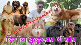 Dog price in Bangladesh  Biggest Dog Form  Dog price 2023  Animal market in Bangladesh [upl. by Anahsed]