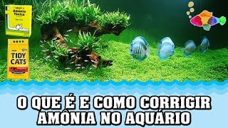 🔵 O que é e como resolver problemas de amônia no aquário [upl. by Eat]