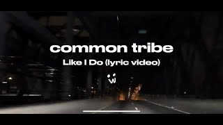 Common Tribe  quotLike I Doquot Lyric Video [upl. by Dalury54]