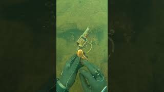 Scuba Diver Finds Possible Murder Weapon Underwater [upl. by Cyrilla]