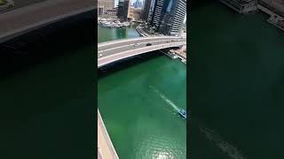 XLine Dubai Marina Longest Urban Zip Line in the World 🌍😱XLine Zipline ExtremeAdventureDubai [upl. by Anirba]