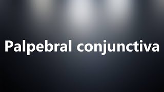 Palpebral conjunctiva  Medical Definition and Pronunciation [upl. by Eladal]